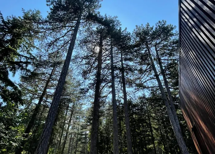 National Park Sauna Retreats - 68 Pines Villa *